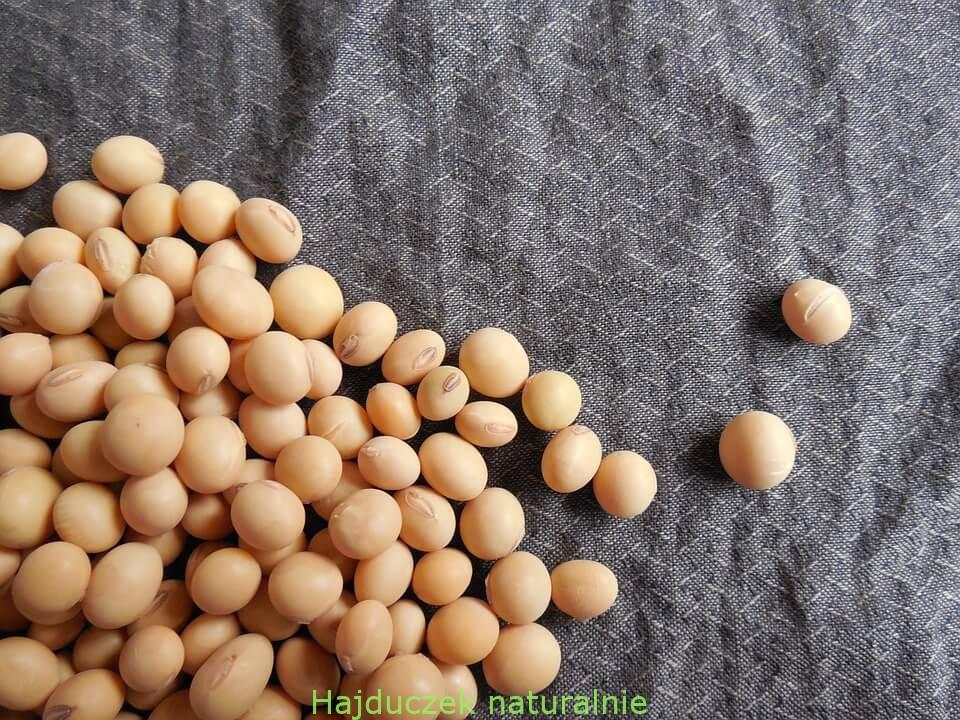 natto-sekret zdrowia