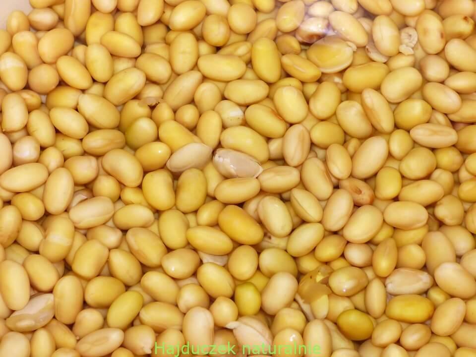 natto-sekret zdrowia
