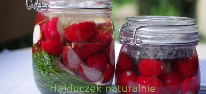 kiszone rzodkiewki