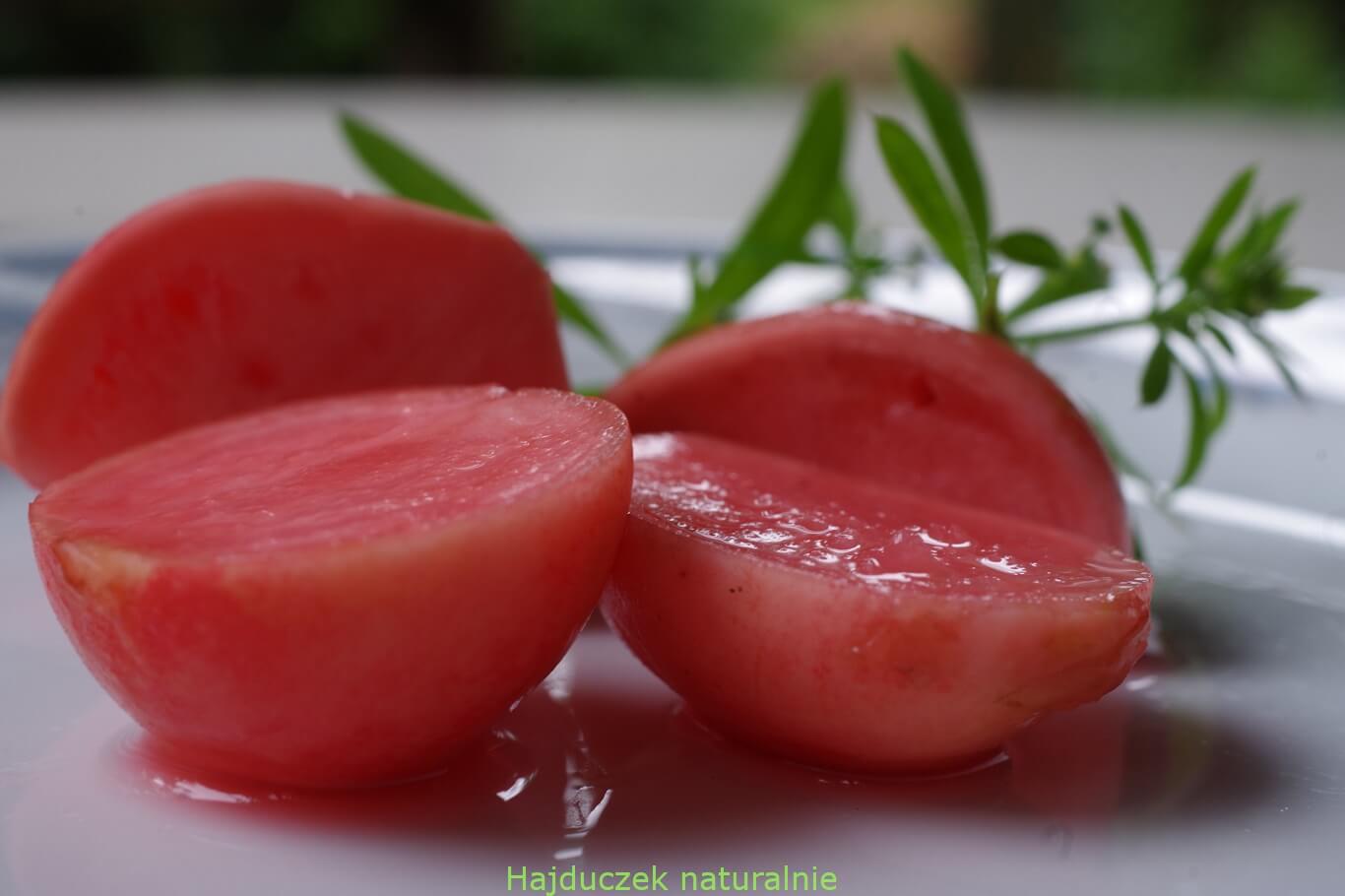 kiszone rzodkiewki