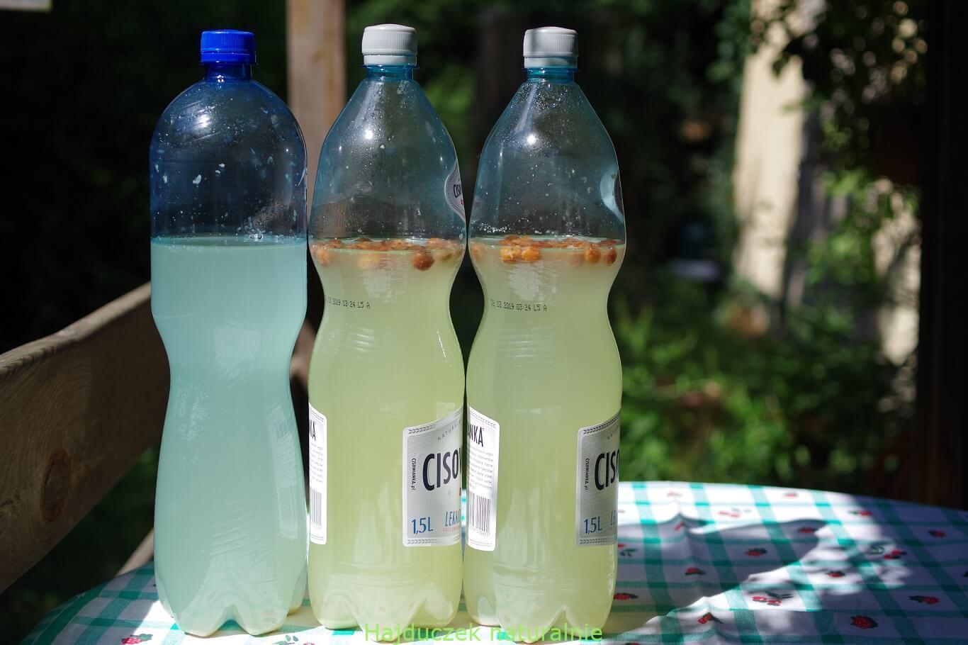 nowa lemoniada miodowa