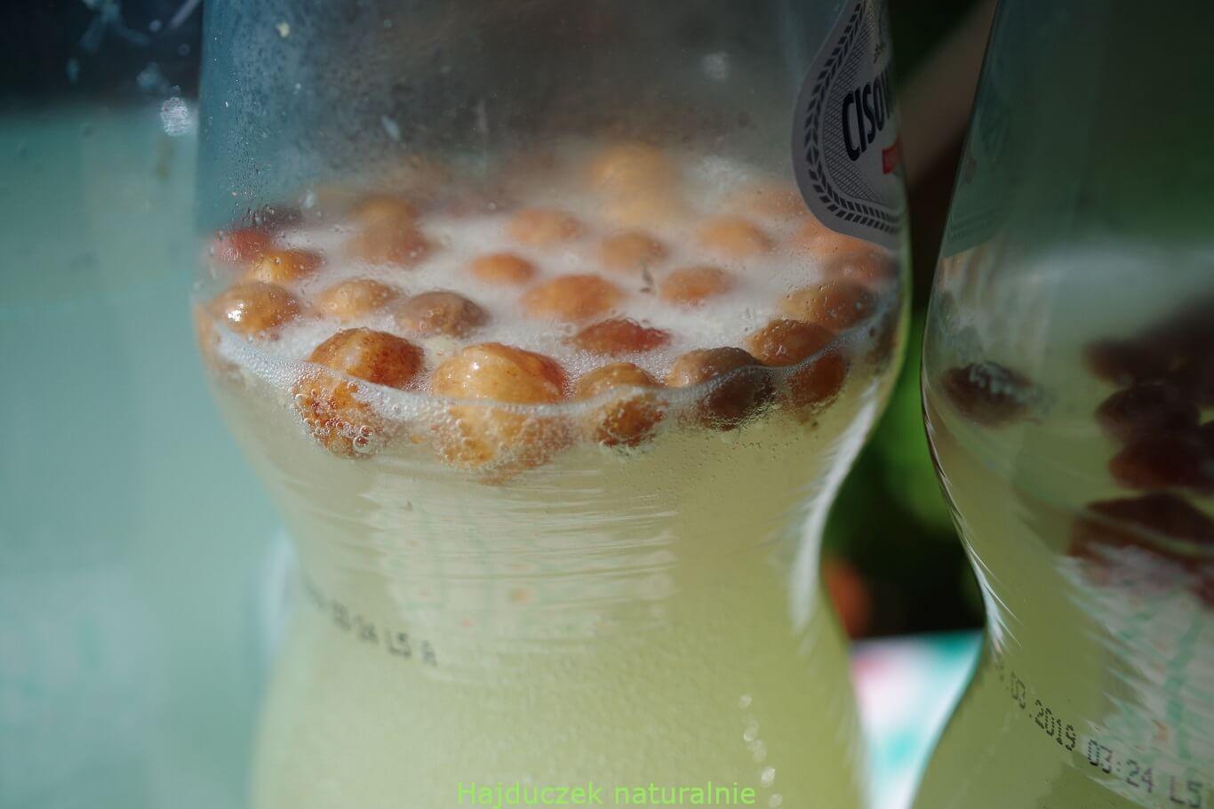 nowa lemoniada miodowa