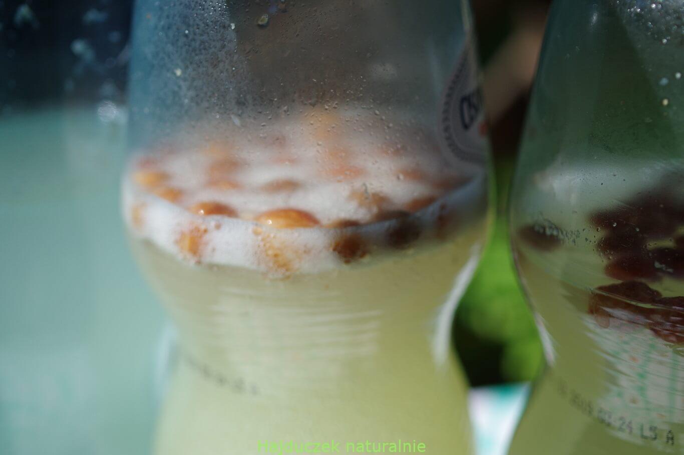 nowa lemoniada miodowa