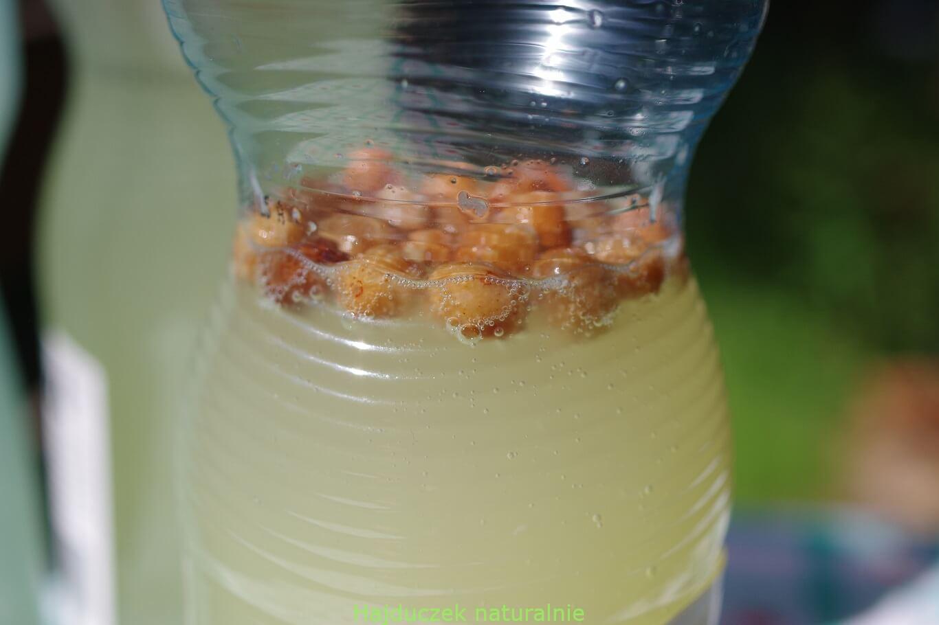 nowa lemoniada miodowa