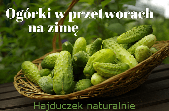 Ogórki w przetworach na zimę - spis treści