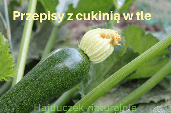 Przepisy z cukinią i z cukinii - spis treści