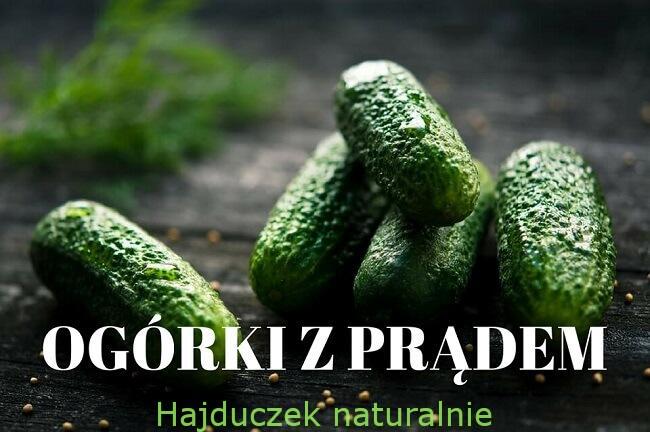 ogórki z prądem - etykieta na słoik
