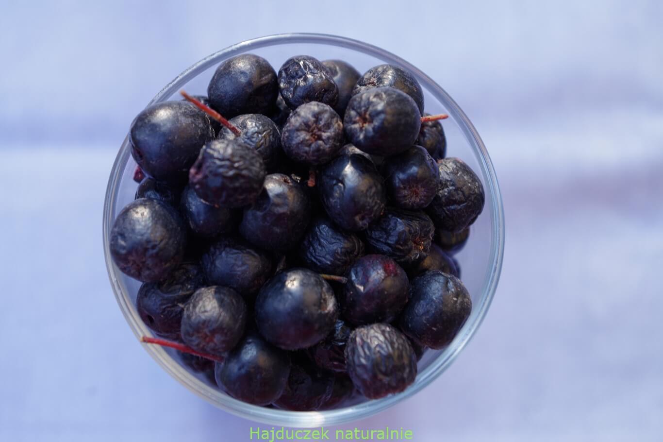 aronia
