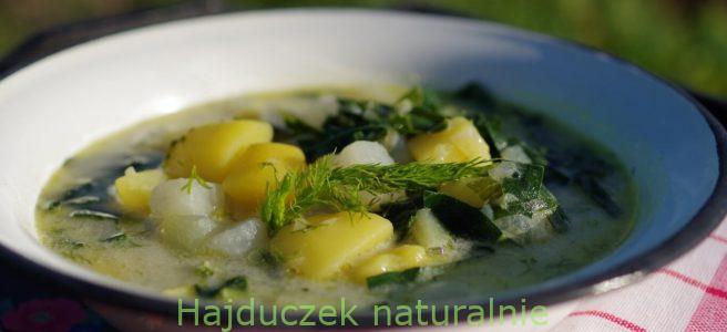 zupa z kalarepy, czyli oberiba