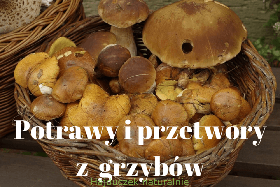 Potrawy i przetwory z grzybów - spis treści