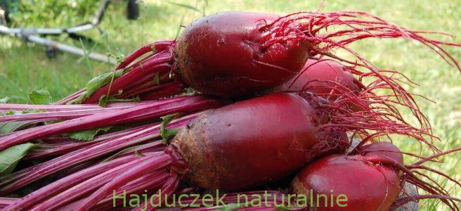 trzy najlepsze sałatki z buraczkami