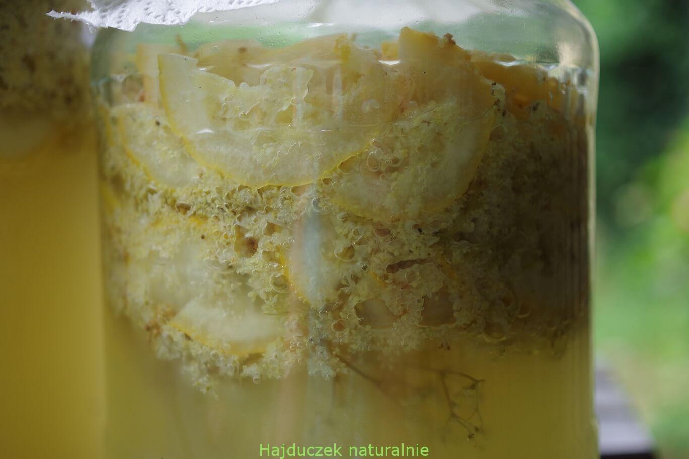 fermentacja octu