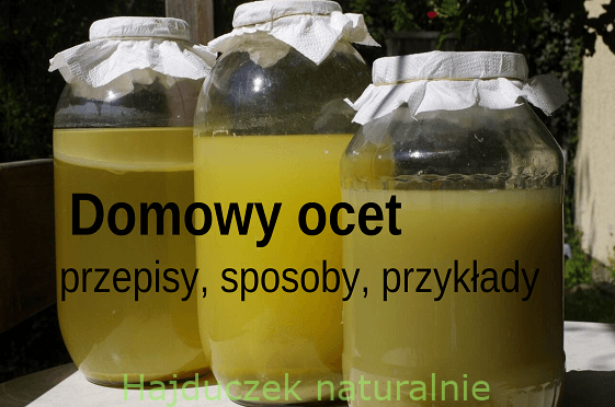 Domowy ocet - spis treści
