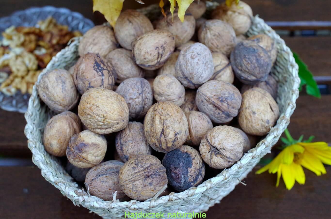 orzechy