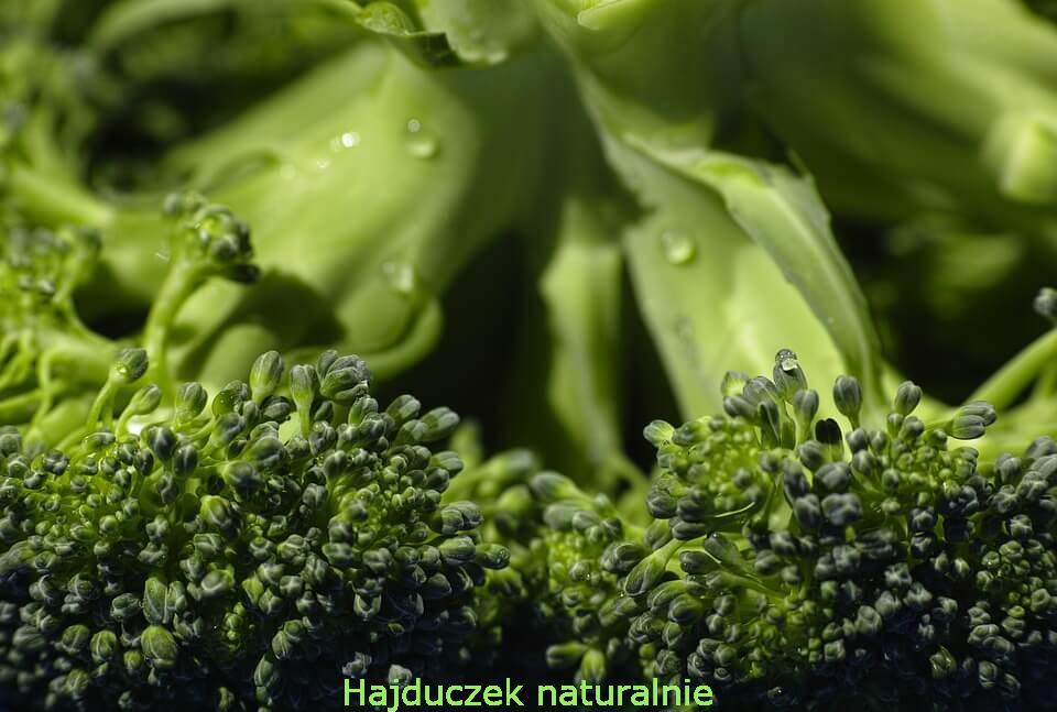łodyga brokułu