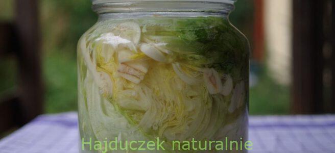 kiszona sałata