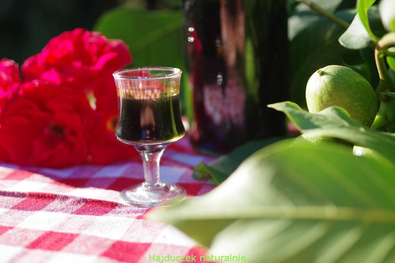 nocino