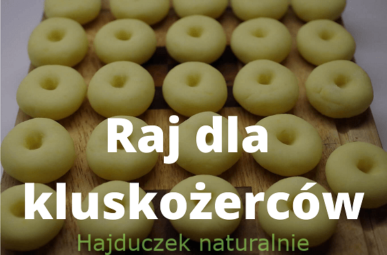 Raj dla kluskożerców - spis treści