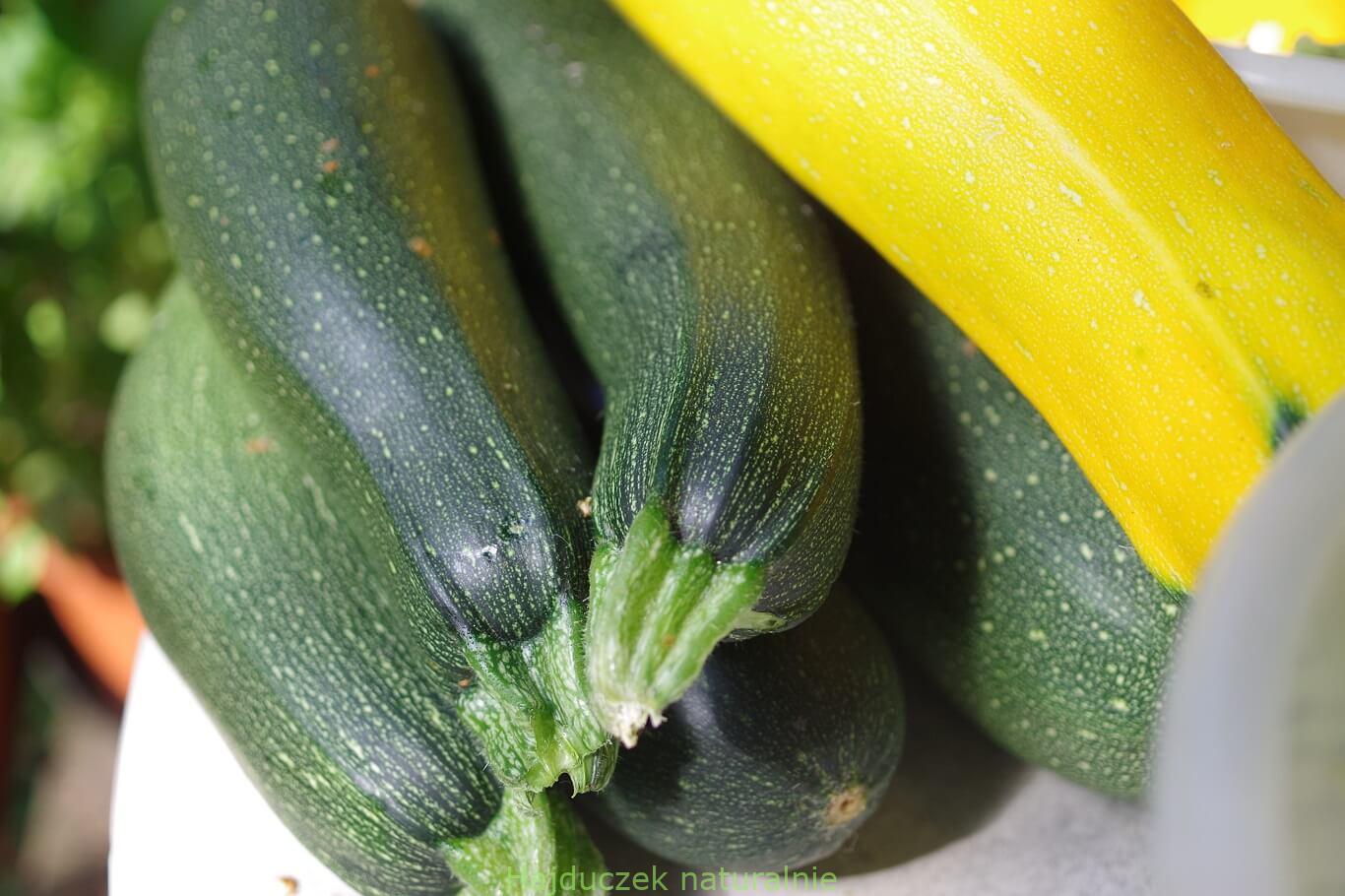 cukinia