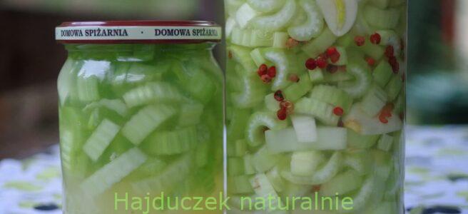kiszony seler naciowy