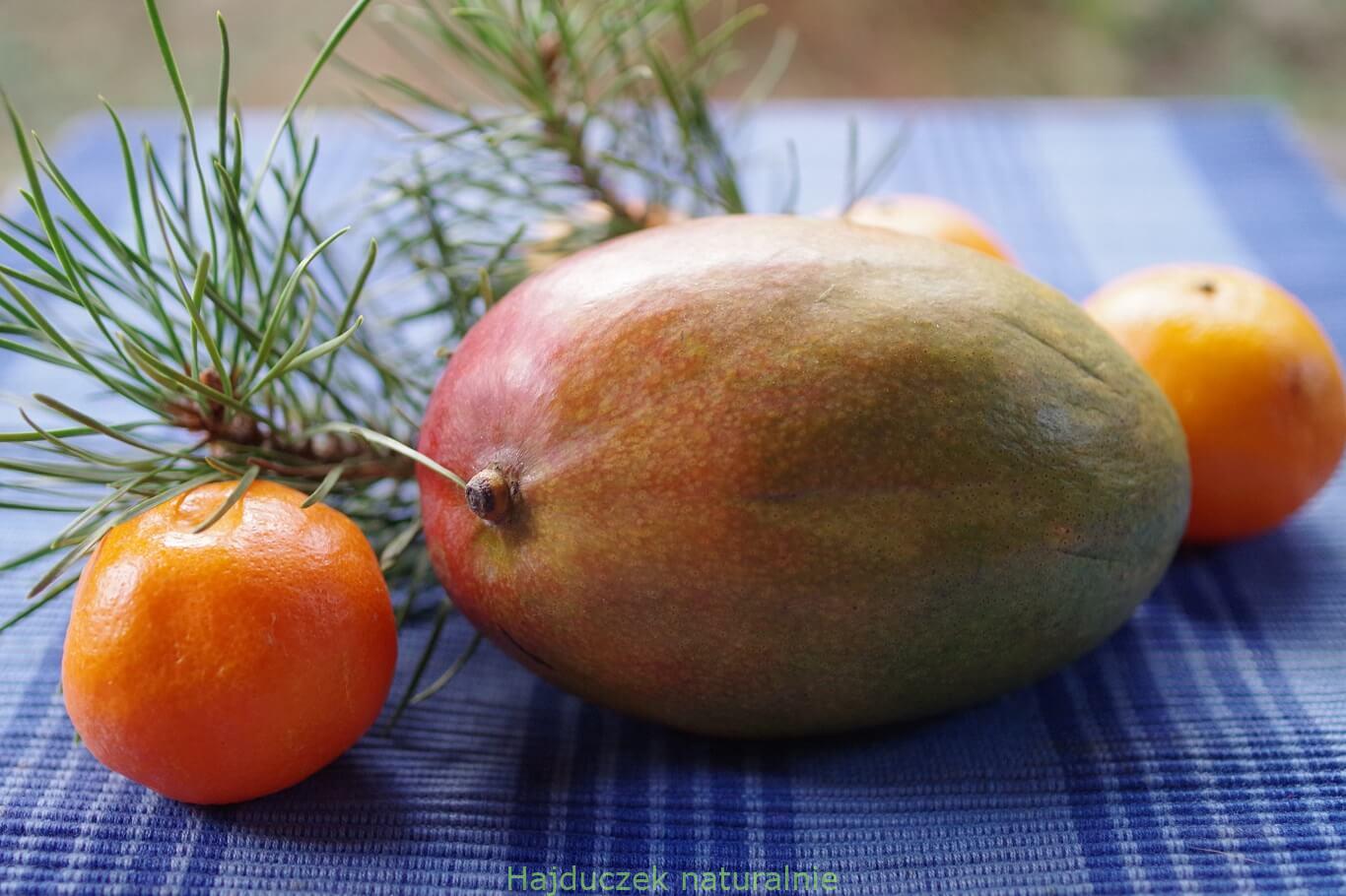 mango i sosna
