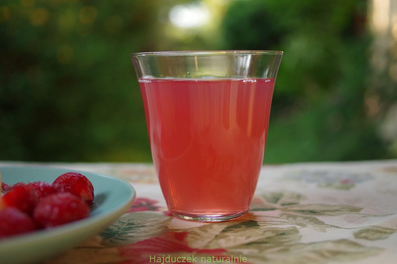 kompot z rabarbaru