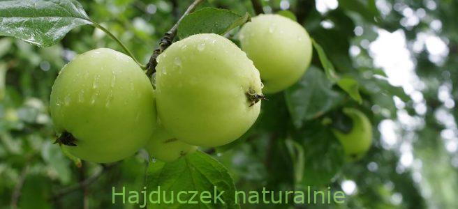 zielony z mango