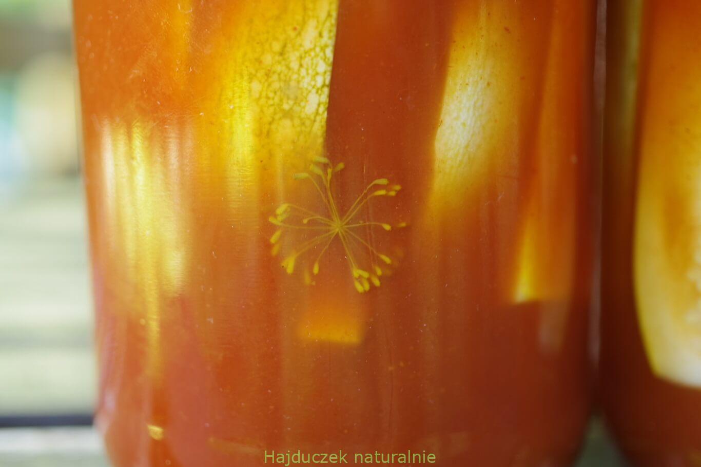 cukinia "Krwawa Mary"