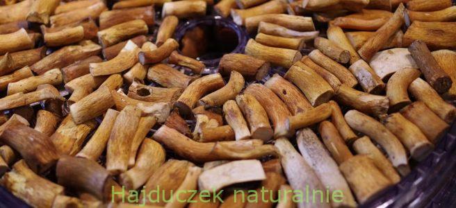 suszone trzonki grzybów