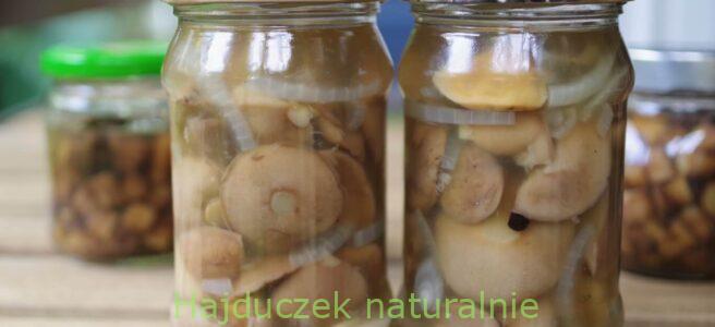 maślaki w occie jabłkowym