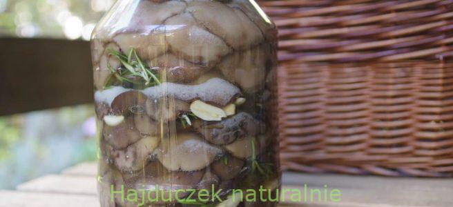 maślaki solone