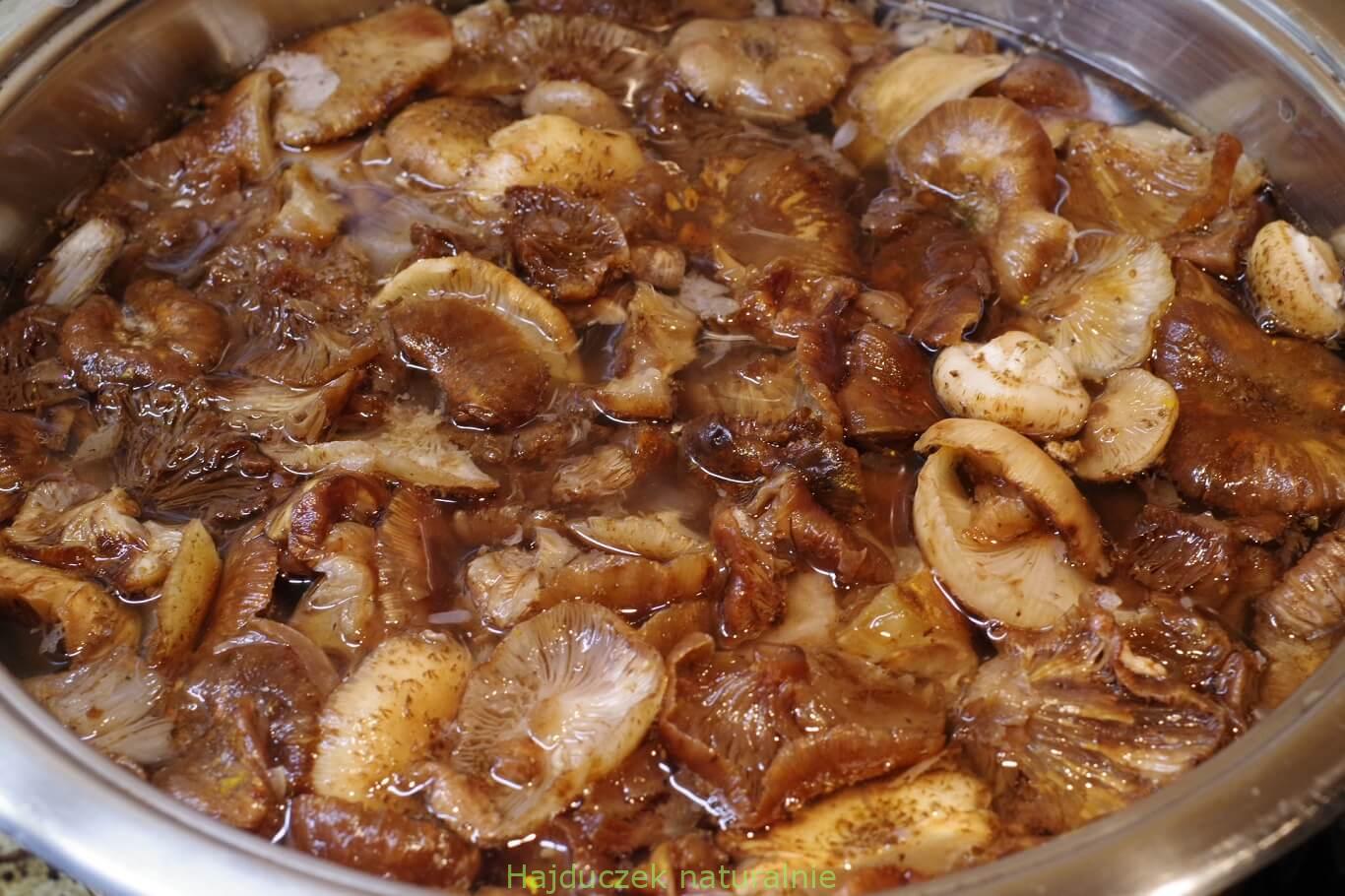 opieńki