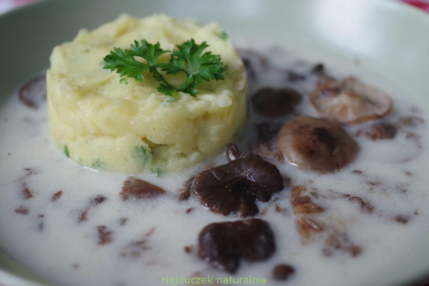zupa z opieńkami