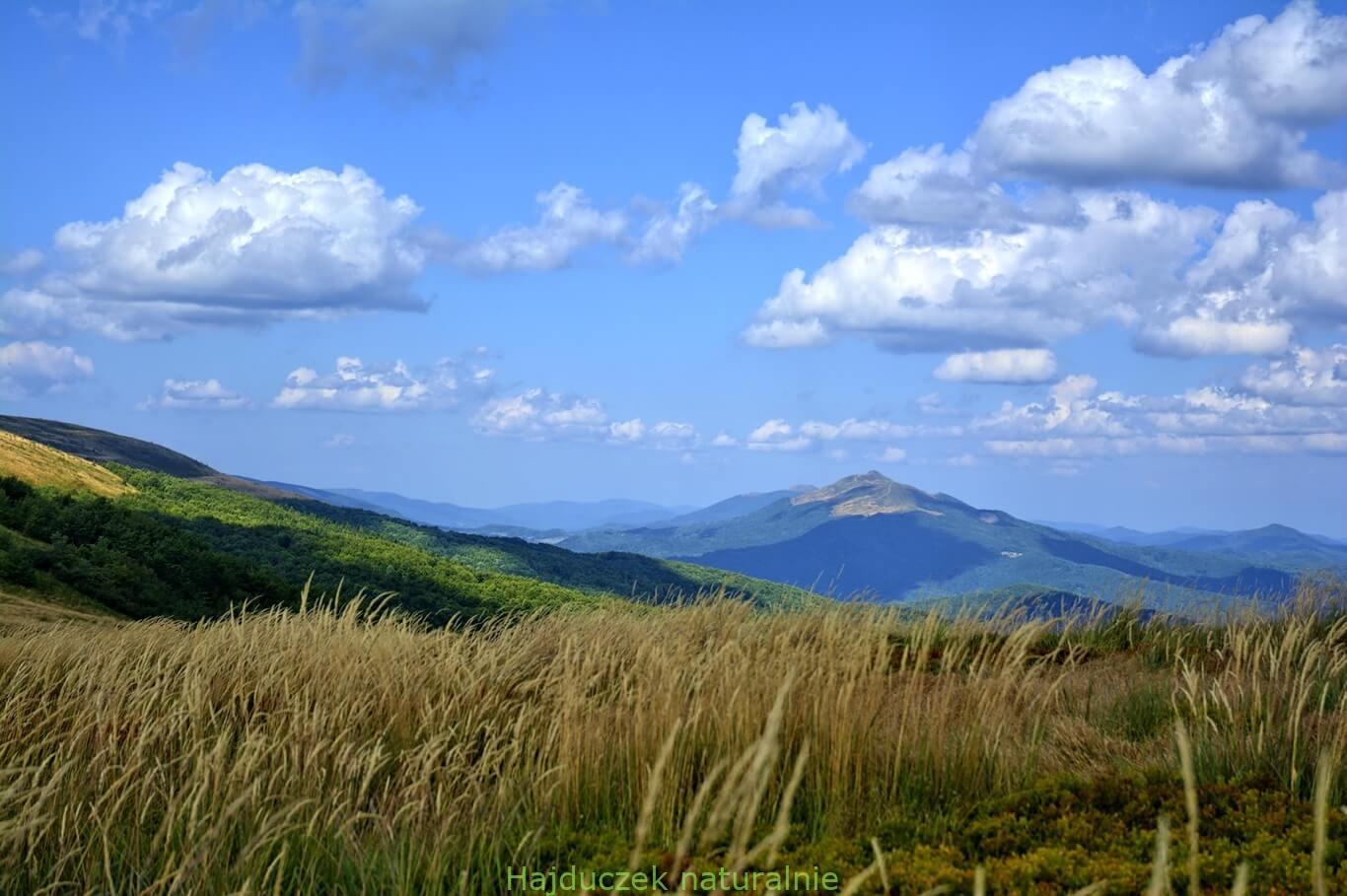 Bieszczady