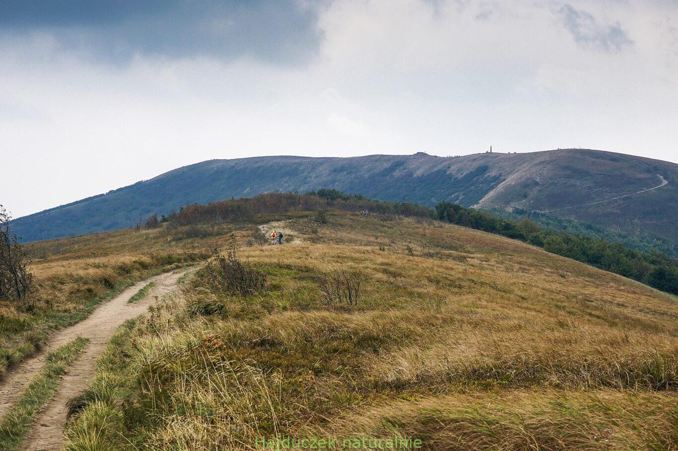 Bieszczady