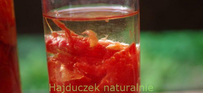 skórki pomidorów macerowane w oleju