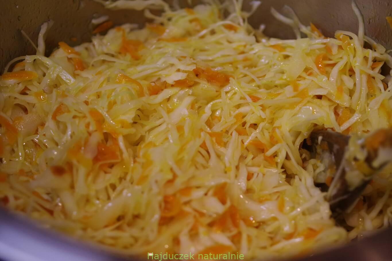 kapusta
