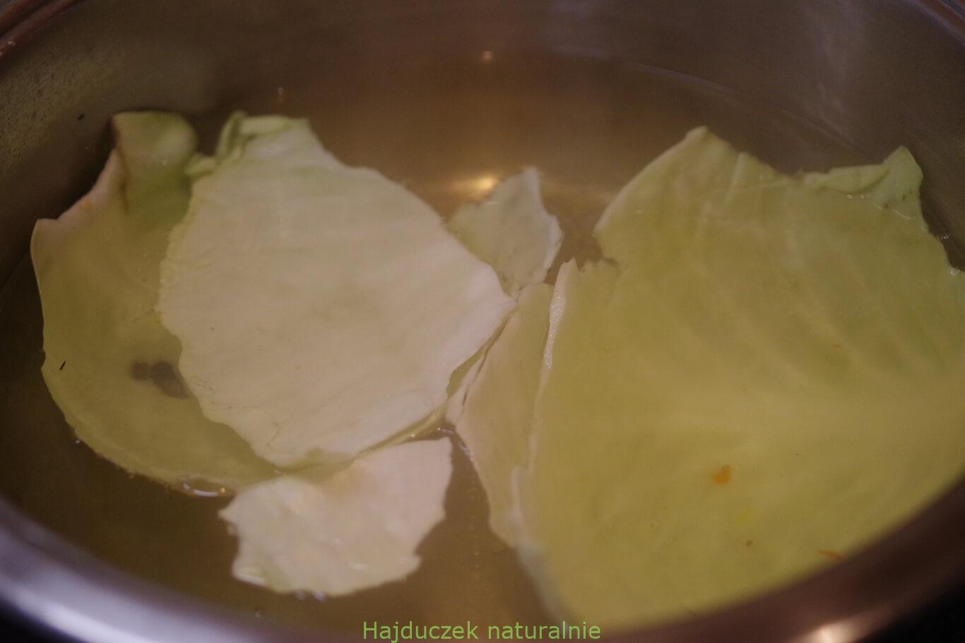 kapusta
