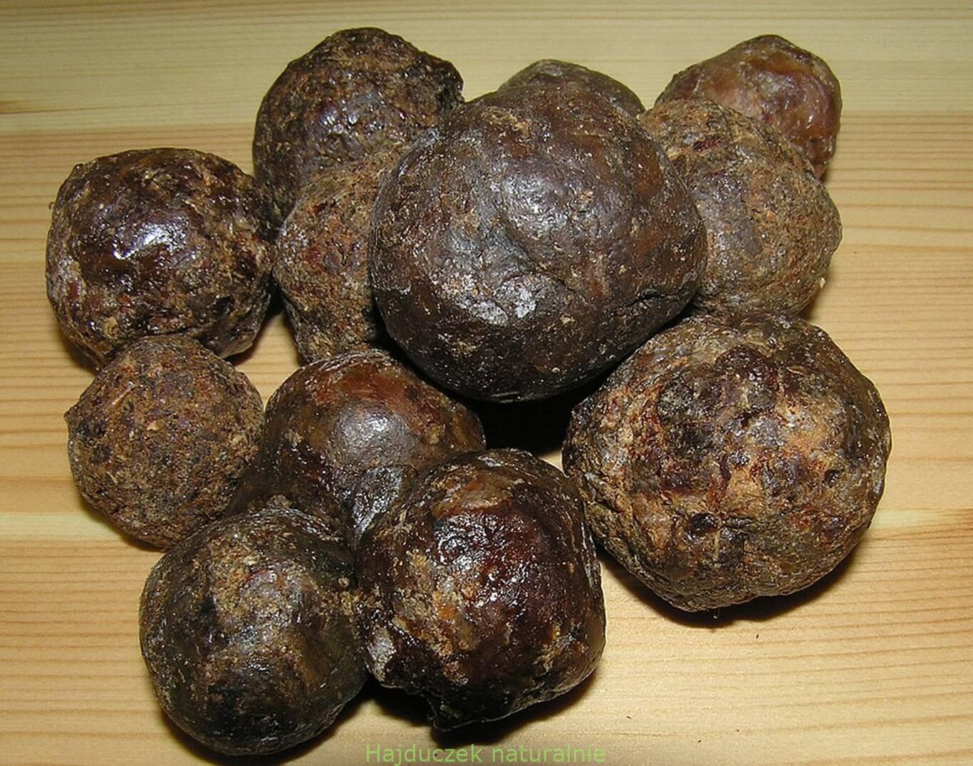 propolis