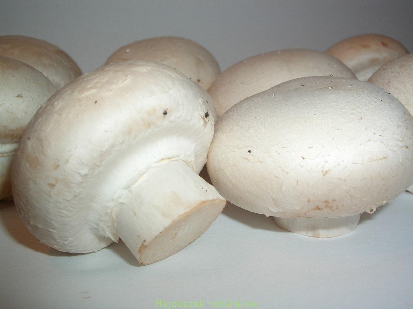 pieczarki