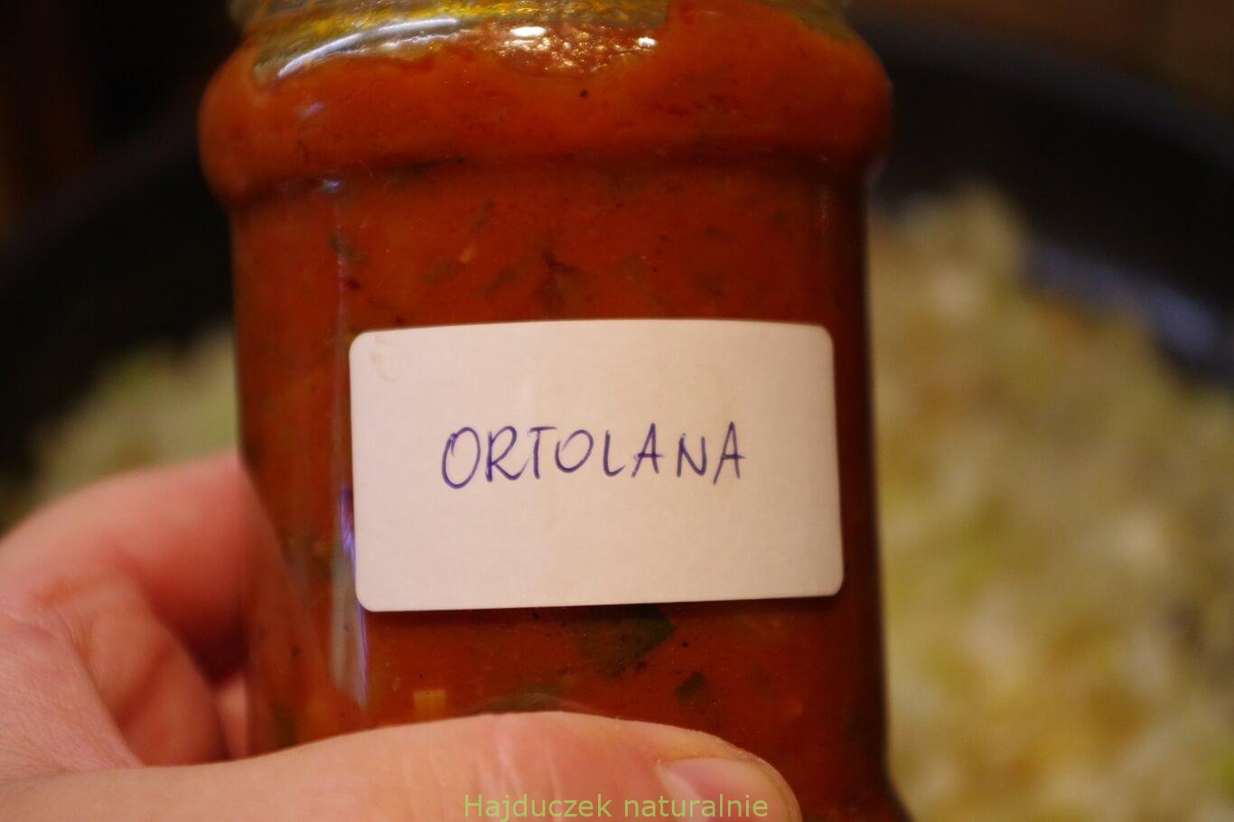 ortolana